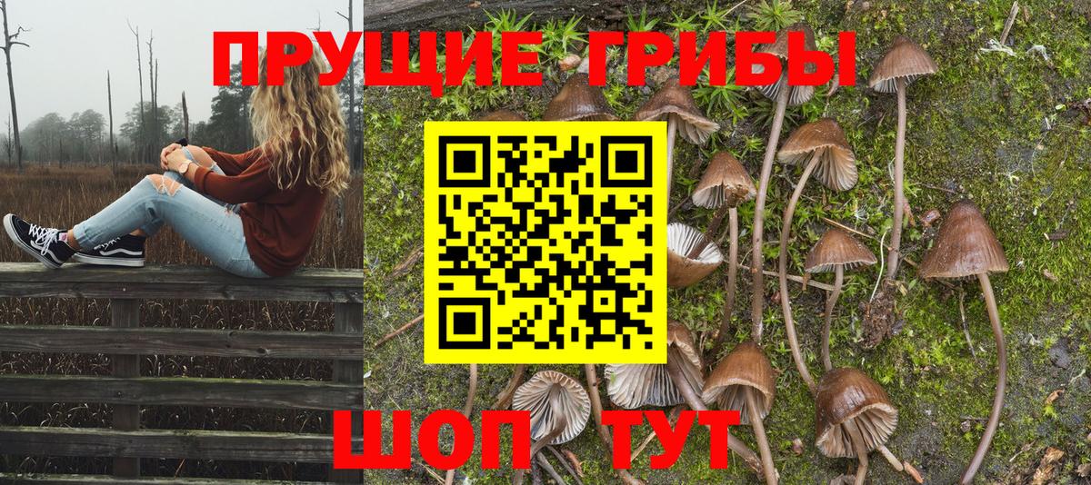 Псилоцибиновые грибы MAGIC MUSHROOMS  Вход с VPN  Клинцы 